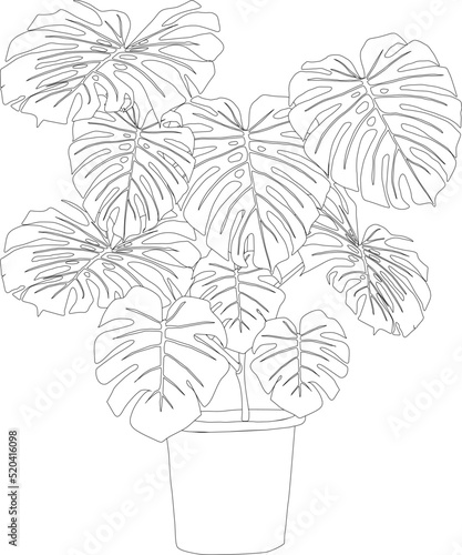 Monstera lineart. Houseplant nature greenplant illustration Monstera in pot lineart. Tropical leaf. botanical illustration. Vector illustration. 