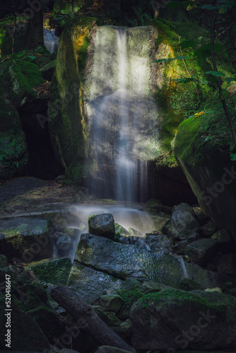 waterfall in the forest