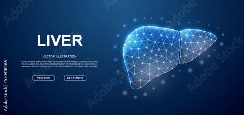 Liver 3d low poly symbol with connected dots for blue landing page template. Hepatitis design illustration concept. Polygonal Organ illustration