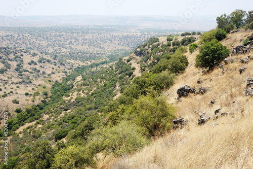 Stream and pond Meshushim in Israel photo