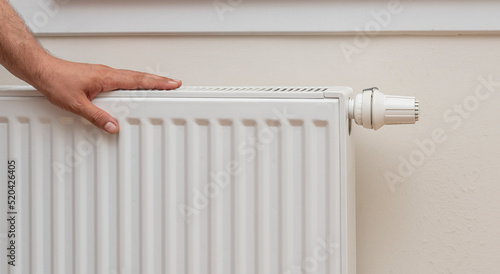 Wallpaper Mural touching the radiator, front view Torontodigital.ca