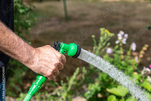 A garden being watered with a hosepipe photo