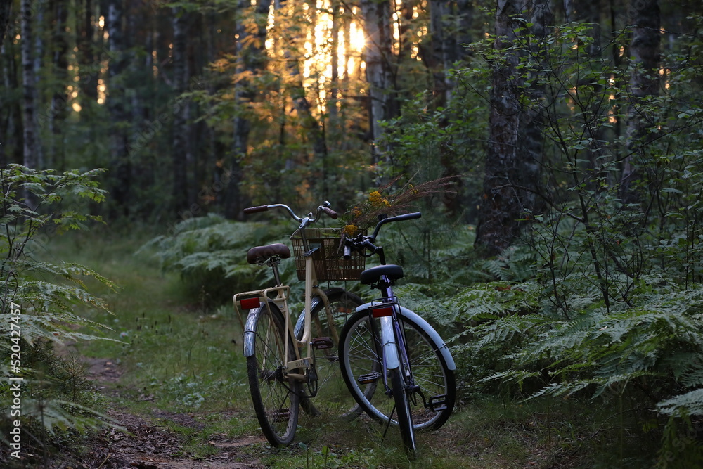 Two bicycles standing on the path in the park in the evening with the sunset sun shining through the trees