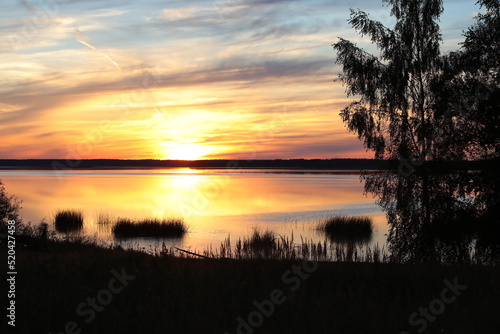 Yellow sunset on the lake with a silhouette of a tree on the shore a calm evening landscape by the water