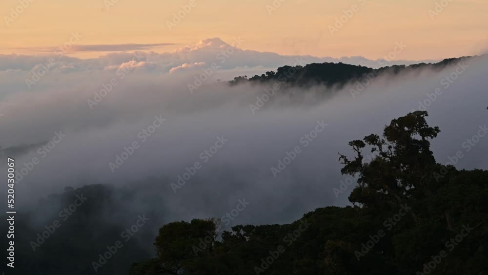 Costa Rica Misty Rainforest Landscape with Mountains and Jungle Scenery in Low Lying Mist and Clouds Rolling Through Valley in Orange Sunset Dramatic Beautiful Light, Los Quetzales National Park Costa Rica Misty Rainforest Landscape with Mountains and Jungle Scenery in Low Lying Mist and Clouds Rolling Through Valley in Orange Sunset Dramatic Beautiful Light, Los Quetzales National Park
