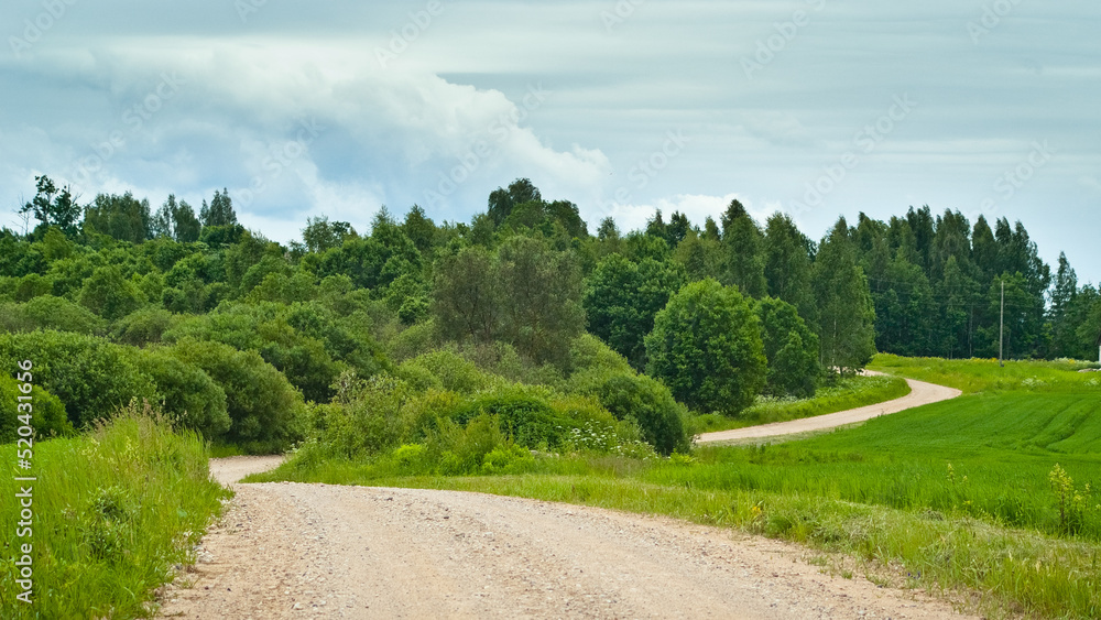 rural landscape, pictured field, gray sky and forest