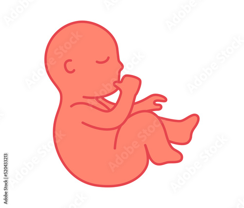 Cute fetus baby sucking a finger cartoon vector illustration