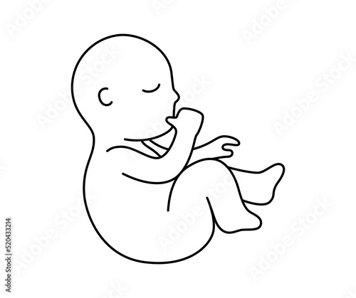 Cute fetus baby sucking a finger outline style with editable stroke vector illustration