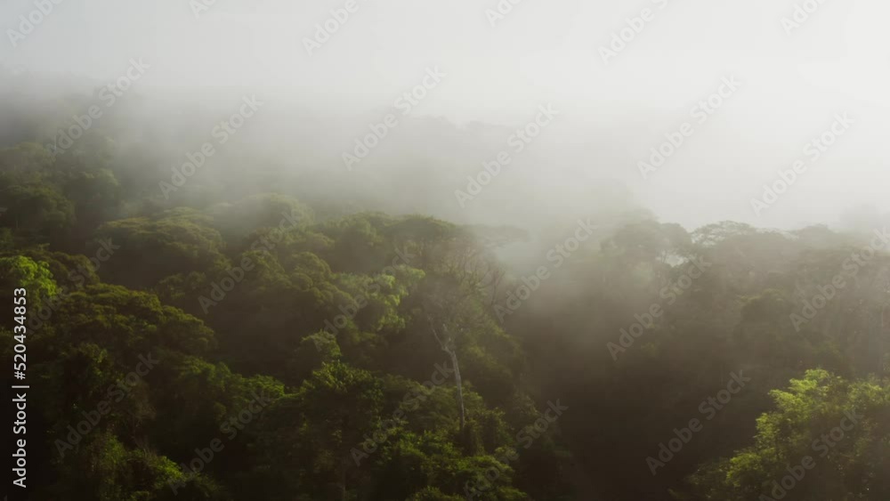 Aerial Drone Shot About Climate Change in Costa Rica with Misty Rainforest Scenery, High Up Above Clouds and Mist in Tropical Jungle Landscape in Amazing Dramatic Light at Boca Tapada, Central America Aerial Drone Shot About Climate Change in Costa Rica with Misty Rainforest Scenery, High Up Above Clouds and Mist in Tropical Jungle Landscape in Amazing Dramatic Light at Boca Tapada, Central America