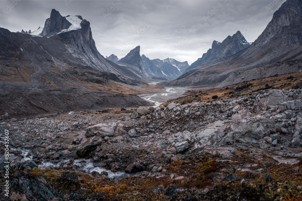 Wild Weasel river winds through remote arctic valley of Akshayuk Pass, Baffin Island, Canada on a cloudy day. Dramatic arctic landscape with Mt. Breidablik and Mt. Thor. Autumn colors in the arctic.