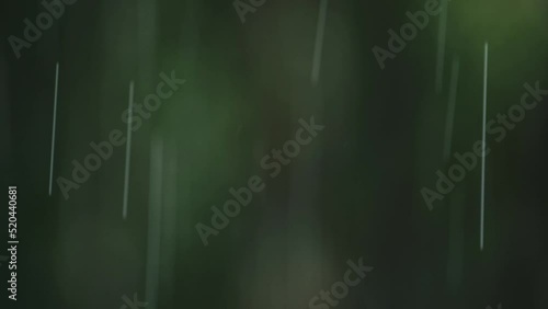Raining Close Up Detail, Rain in Rainforest in Rainy Season in a Storm During Bad Wet Weather with Green Trees Raindrops Background, Typical Climate in Costa Rica, Central America photo