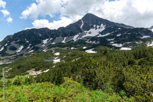 Wallpaper Mural Landscape of Pirin Mountain near Popovo Lake, Bulgaria Torontodigital.ca
