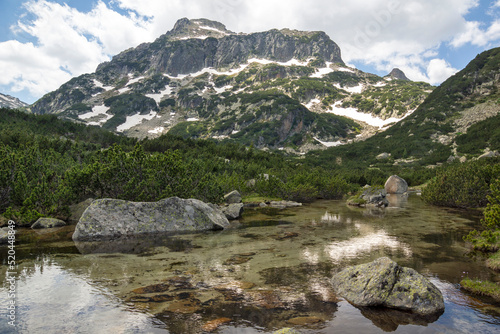 Landscape of Pirin Mountain near Popovo Lake, Bulgaria