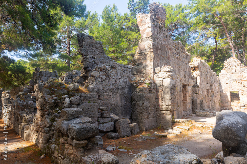 Ruins of large bath of ancient Phaselis city. Famous architectural landmark, Kemer district, Antalya province. Turkey