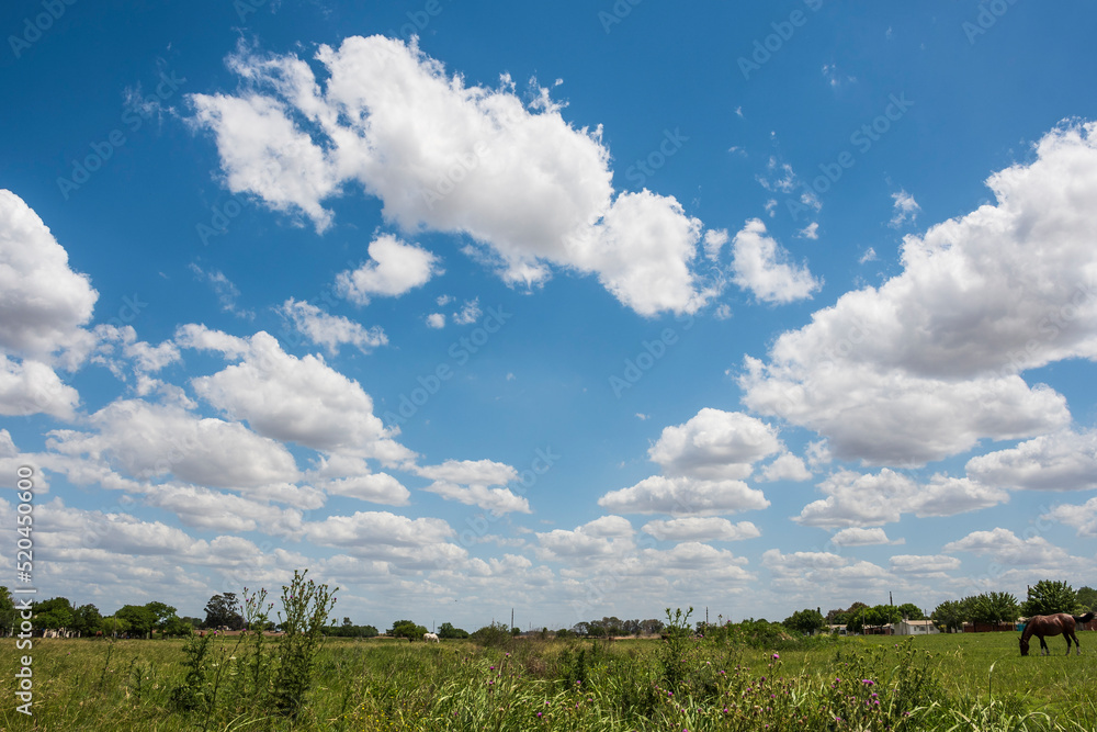 Fototapeta premium Cielo