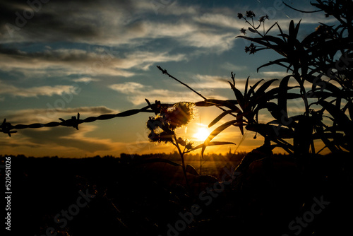Paisajes de atarcederes o amaneceres
