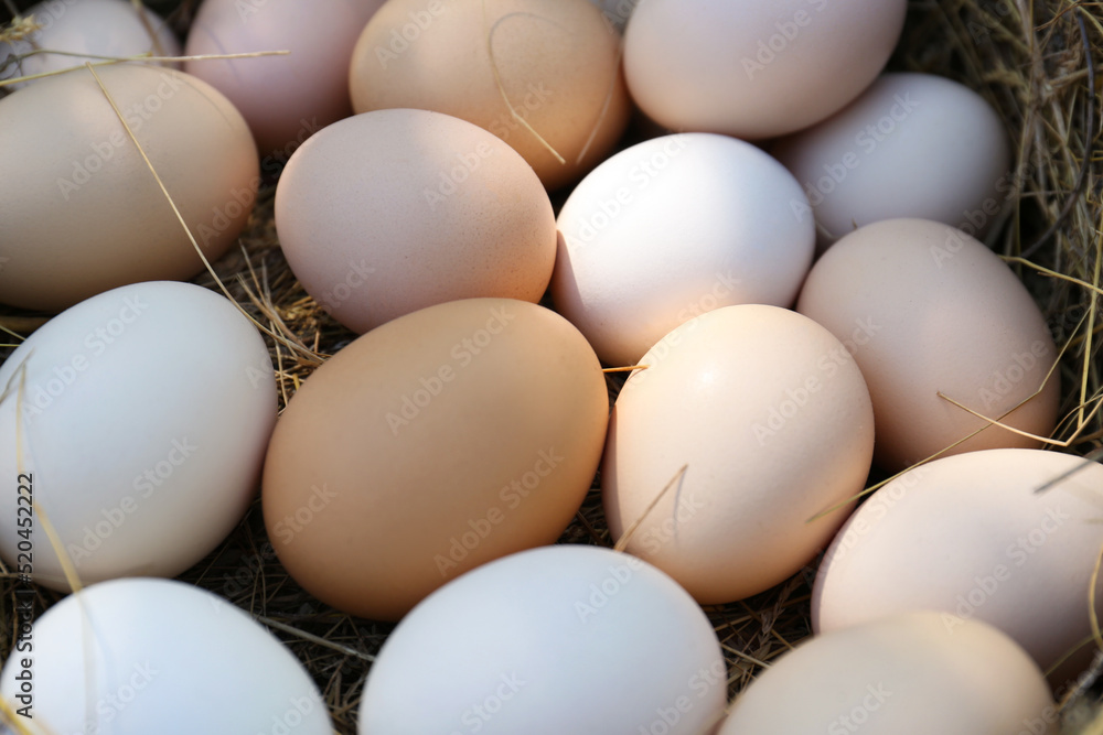 Fresh raw chicken eggs in nest, closeup