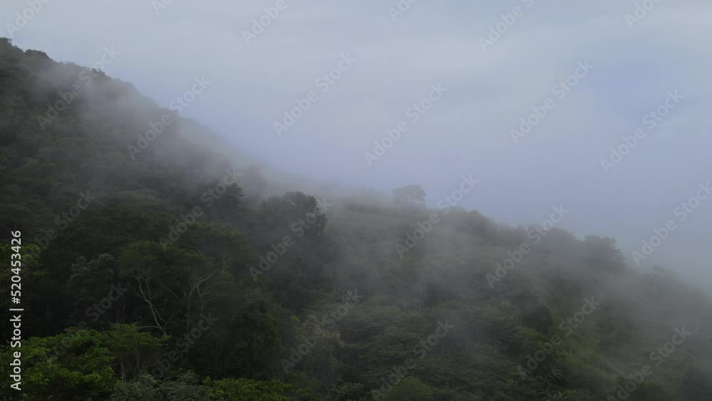 Aerial view of cloudy tropical jungle. Flight over the jungle of Peru, Amazon Aerial view of cloudy tropical jungle. Flight over the jungle of Peru, Amazon