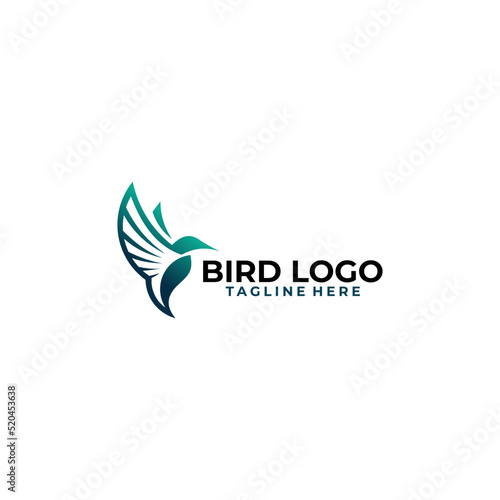 abstract bird logo design vector