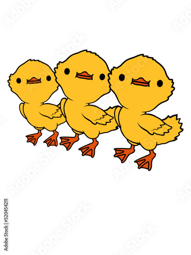 3 Entenküken Freunde Team 