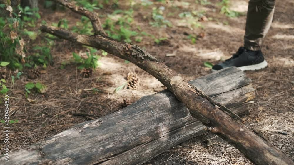 The guy is chopping wood with an axe. Woodcutter in the forest. Cutting down trees. Slow motion, close up
The guy is chopping wood with an axe. Woodcutter in the forest. Cutting down trees. Slow motion, close up