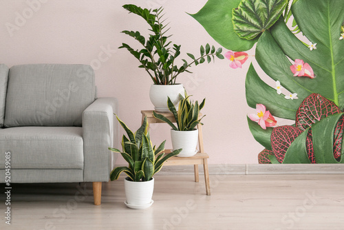 Comfortable sofa and housep...