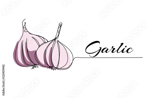 Continuous one line drawing of garlic. Modern style vector illustration on isolated background.