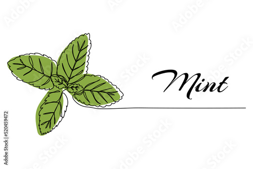 Continuous one line drawing of mint. Modern style vector illustration on isolated background.