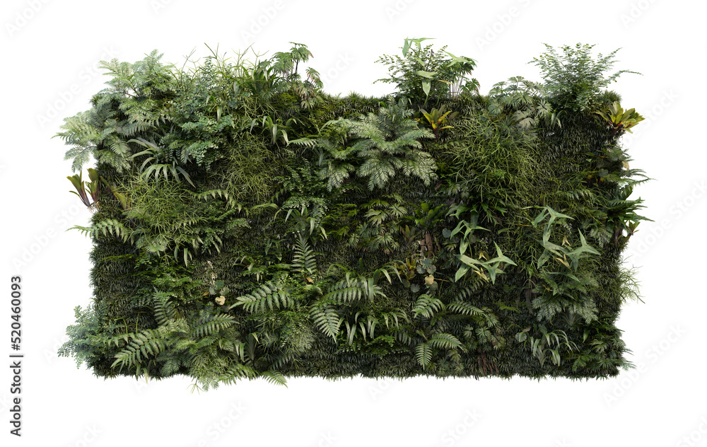 Tropical plant garden vertical on a white background - obrazy, fototapety, plakaty 