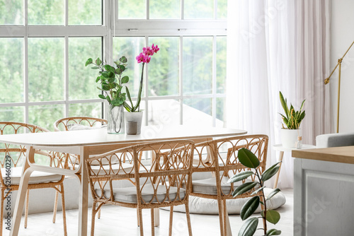 Beautiful orchid flower and...