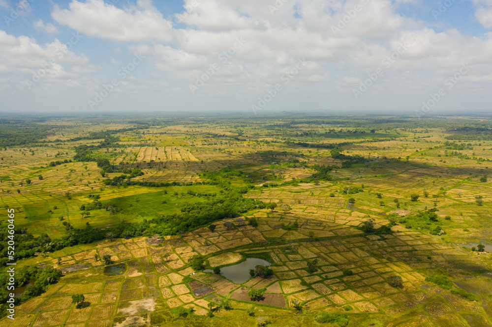 Top view o Agricultural land and rice fields in rural areas. Sri Lanka. Top view o Agricultural land and rice fields in rural areas. Sri Lanka.
