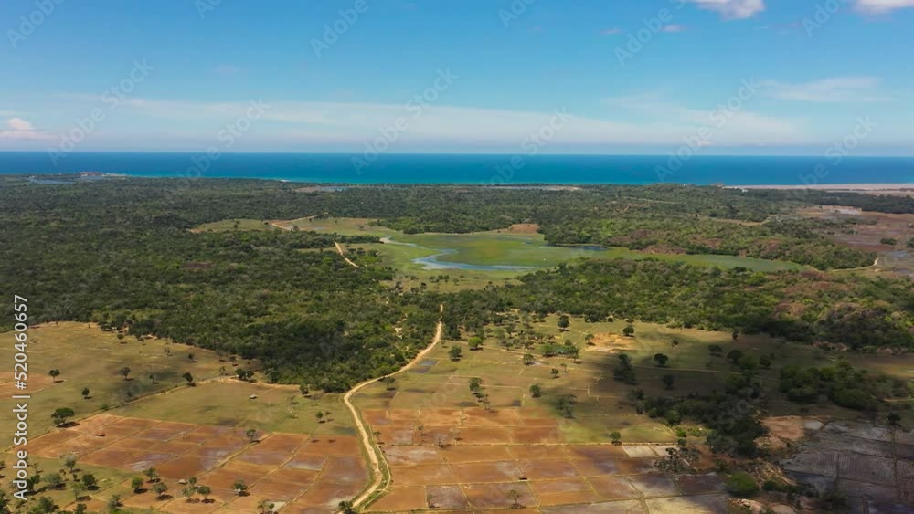 Top view of Agricultural land and jungle against the blue sky and clouds. Sri Lanka.