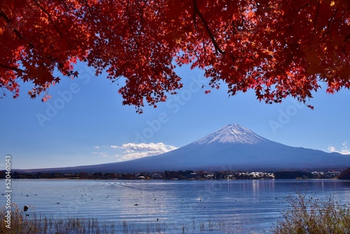 秋の河口湖 紅葉と富士山