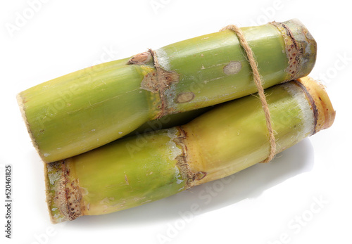 Close up of fresh sugarcane or sugar cane on a white background.