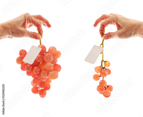 фотографія Downsized bunches of grapes for sale comparison