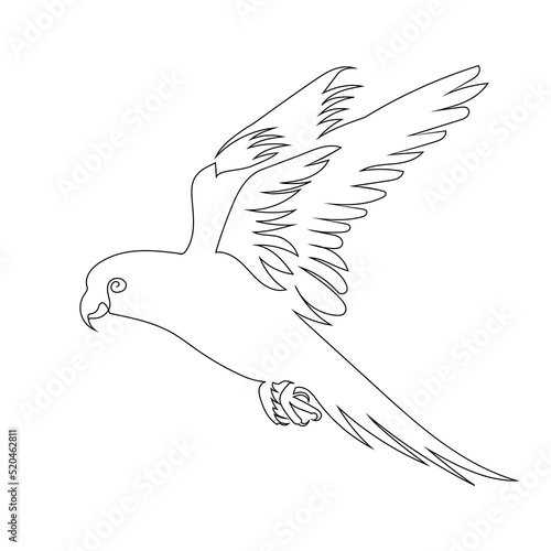 Parrot bird flying line art drawing style, The bird sketch black linear isolated on white background, And the  best parrot bird vector illustration. 