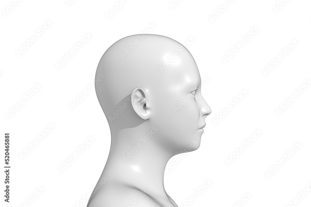 Man, Human Male Head, 3D Man, Human Male Head, 3D