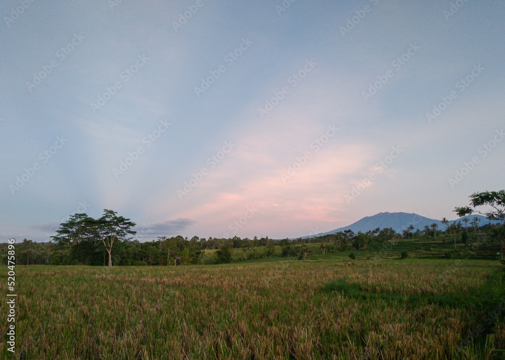 Beautiful Morning around the village in Banyuwangi, East Java, Indonesia.