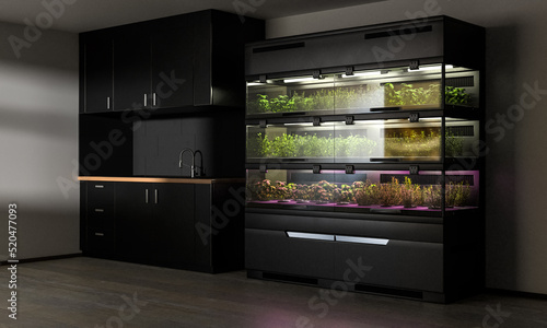 Automated home vertical farm. Garden for growing herbs in the interior of the kitchen. Hydroponic farm. 3d illustration