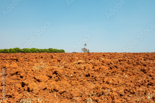 The organic soil in agricultural rural environment area, After plowing the topsoil in Thailand.