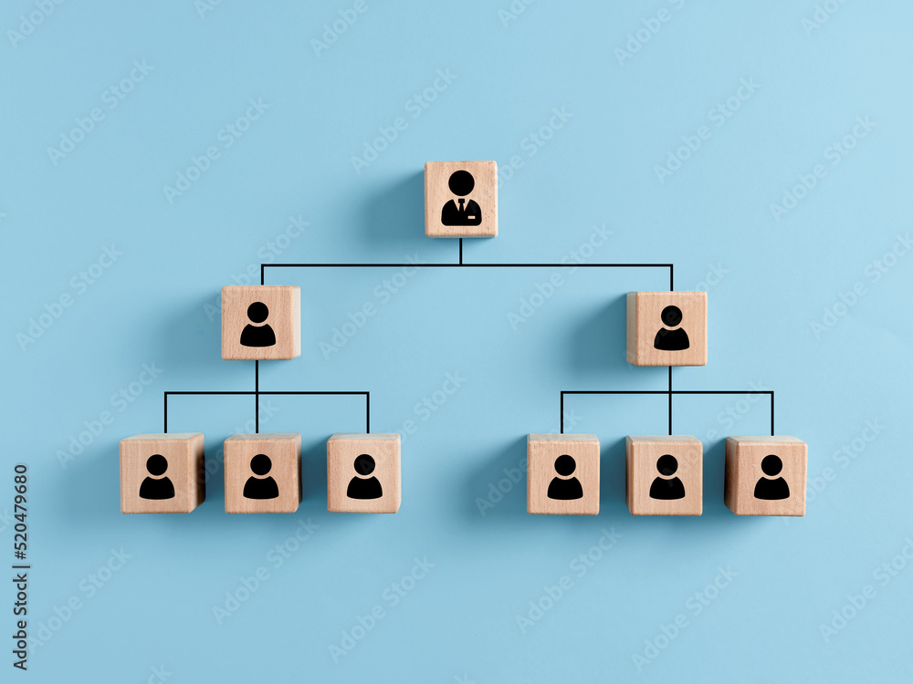 Company hierarchical organizational chart of wooden cubes on blue background. Human resources management and business concept - obrazy, fototapety, plakaty 