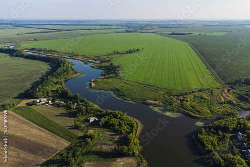 Agricultural fields orchards view from a height on a sunny day © Антон Скрипачев