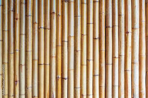 Bamboo fence background