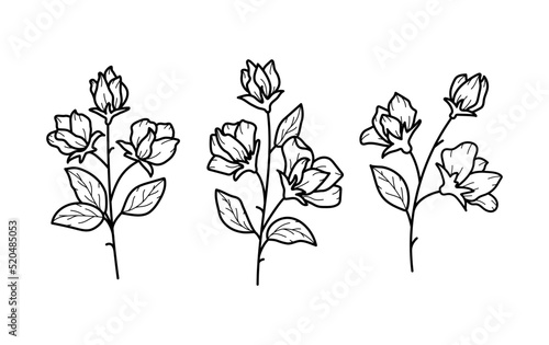 Beautiful sweet pea flowers with leaves set, line art plant branches icons. Garden summer blossom. Vector botanical illustration in black outline isolated on white background