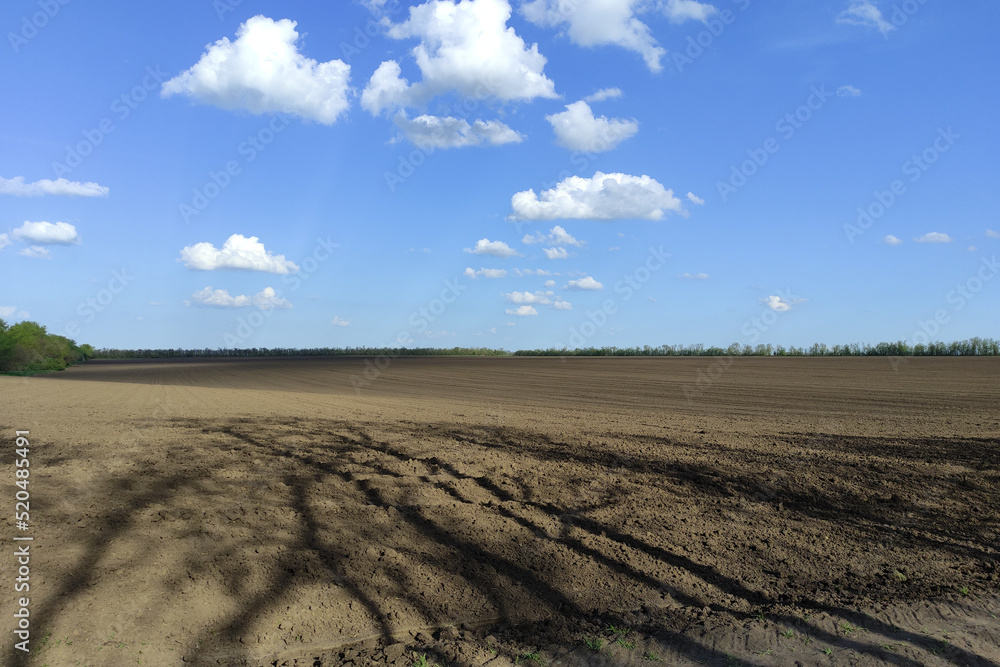 Fototapeta premium Agricultural field in the spring time