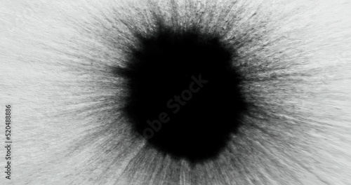 Black ink spatter. Dye stain blob. Frayed edge texture overlay. Liquid paint splash on white uneven paper abstract background with defocused motion blur.