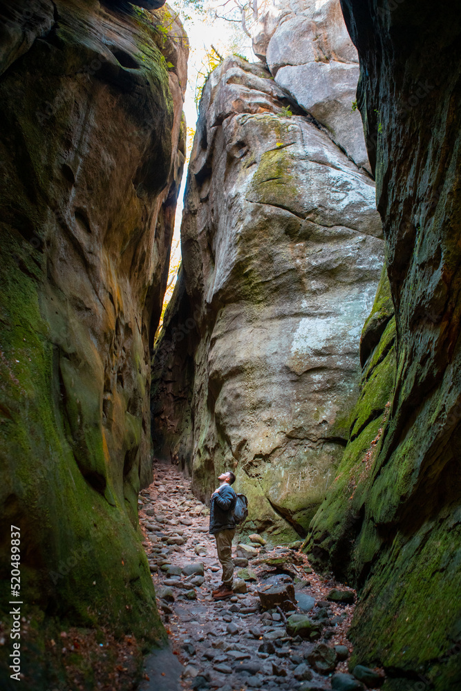 man hiker with backpack in canyon with forest man hiker with backpack in canyon with forest