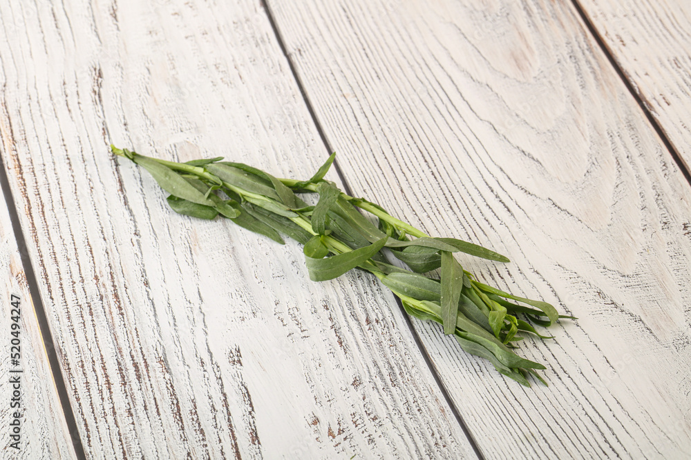 Green tarragon herb spice for cooking Green tarragon herb spice for cooking