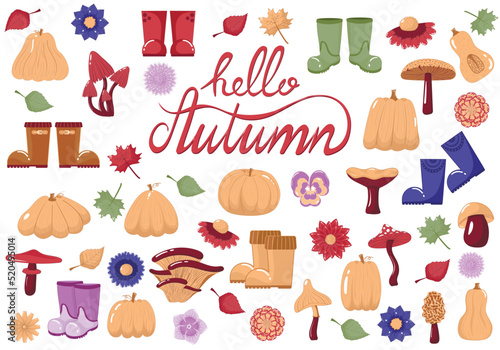 Big collection of autumn decor elements, leaves, mushrooms, pumpkins, flowers, lettering hello autumn. Vector illustration of a forest harvest for decoration of postcards, banners, web pages