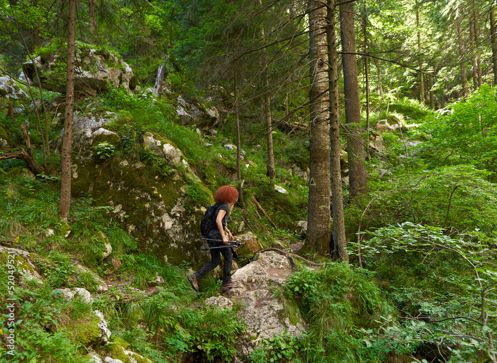 Woman hiking on a trail in the forest Woman hiking on a trail in the forest
